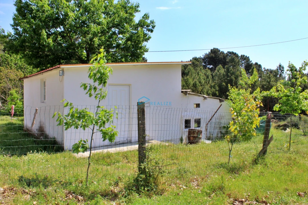 Terreno para Venda em Torre do Pinhão Foto 8