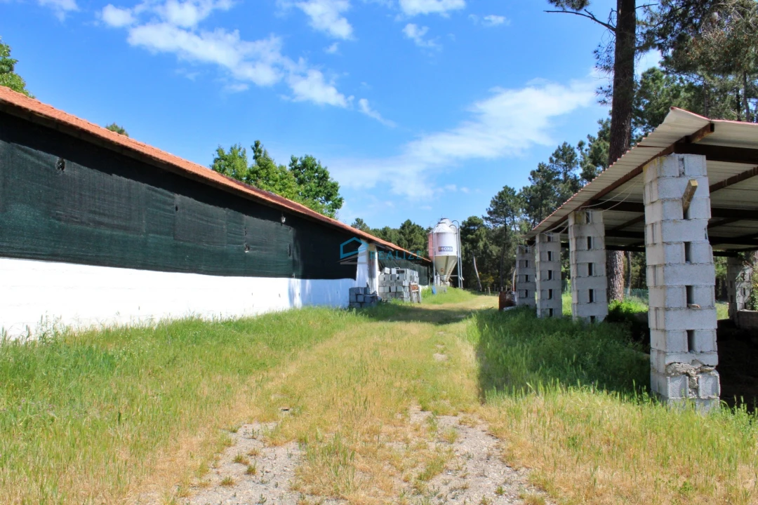 Terreno para Venda em Torre do Pinhão Foto 5