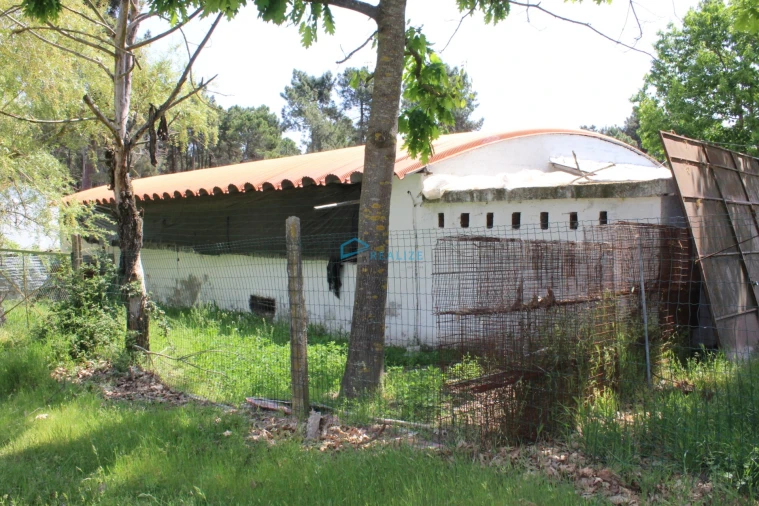 Terreno para Venda em Torre do Pinhão Foto 6