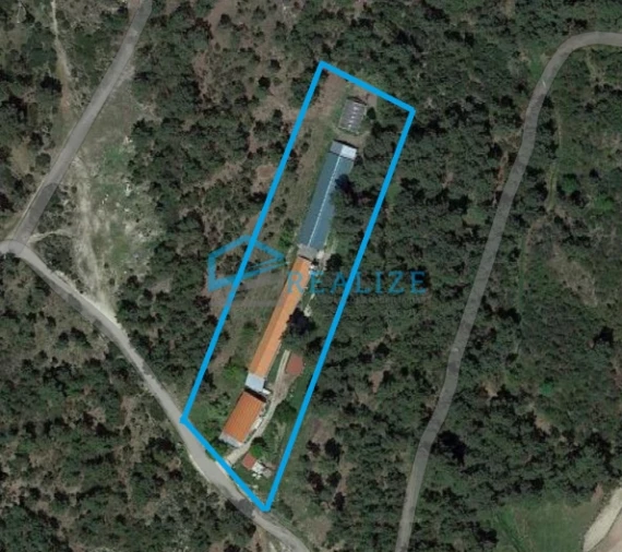 Terreno para Venda em Torre do Pinhão Foto 10