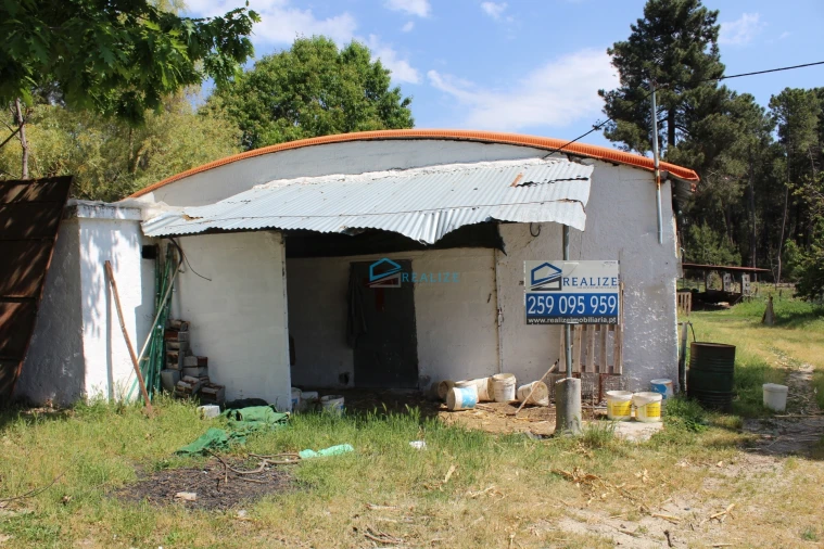 Terreno para Venda em Torre do Pinhão Foto 7