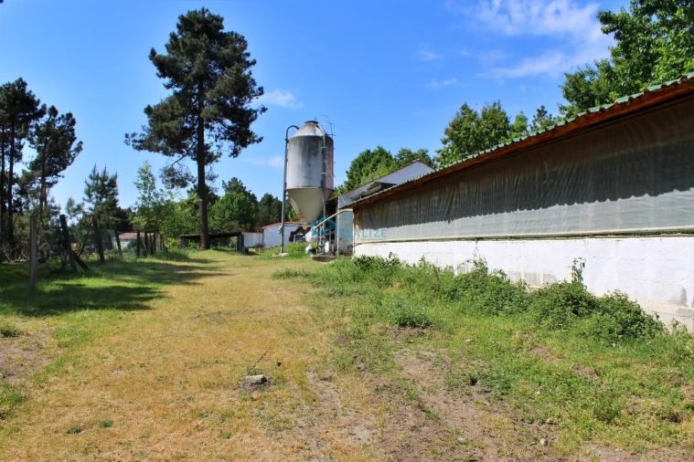 Terreno para Venda em Torre do Pinhão Foto 1