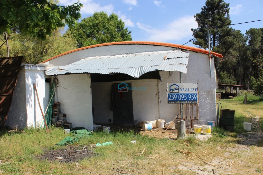 Terreno para Venda em Torre do Pinhão Foto 7