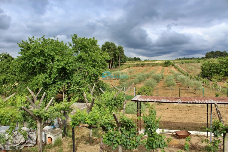 Quinta T4 para Venda em Folhadela Foto 3