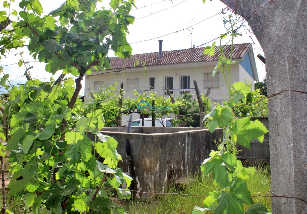 Quinta T4 para Venda em Folhadela Foto 7