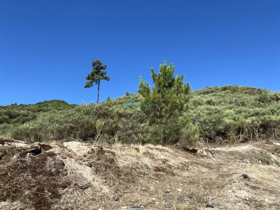 Terreno Agricola ou Rústico para Venda em Cumieira Foto 5