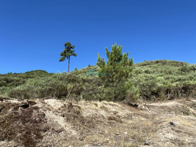 Terreno Agricola ou Rústico para Venda em Cumieira Foto 5