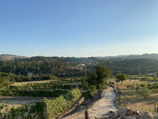 Moradia T0 para Venda em Vila Marim Foto 12
