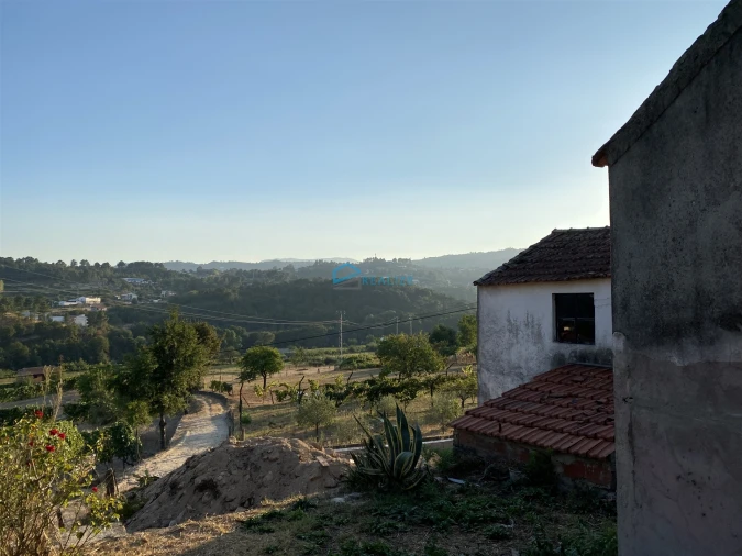 Moradia T0 para Venda em Vila Marim Foto 5
