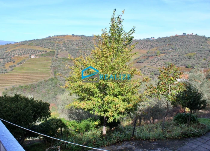 Quinta T0 para Venda em Abaças Foto 27