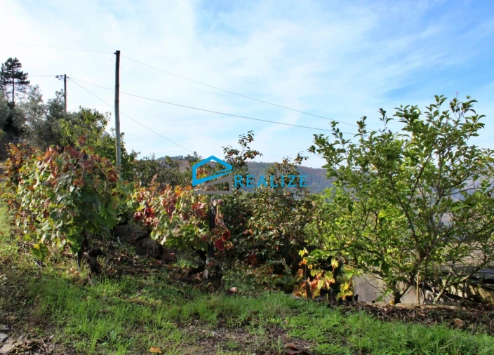 Quinta T0 para Venda em Abaças Foto 20