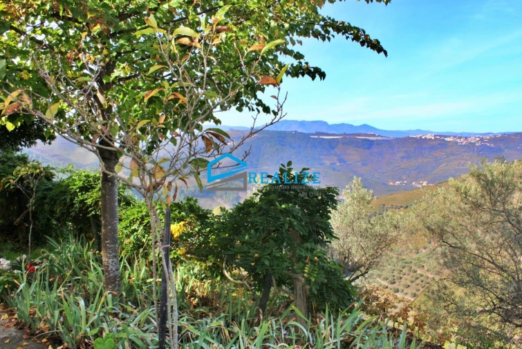 Quinta T0 para Venda em Abaças Foto 22