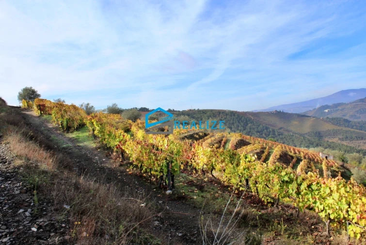Quinta T0 para Venda em Abaças Foto 7