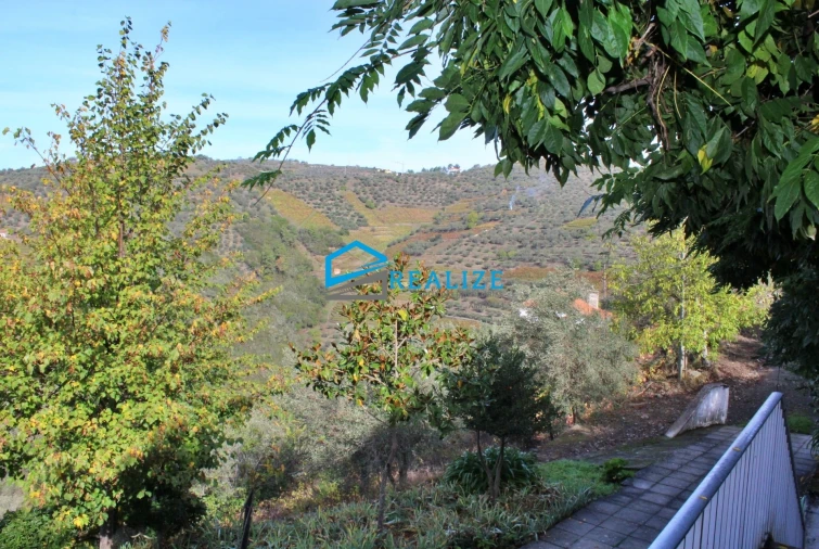 Quinta T0 para Venda em Abaças Foto 29