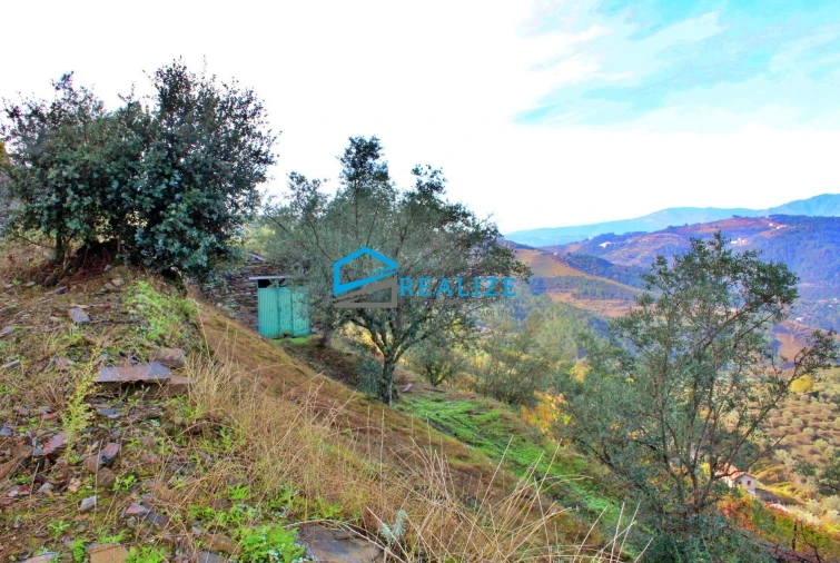 Quinta T0 para Venda em Abaças Foto 15