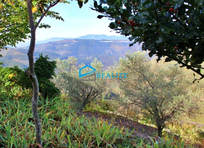 Quinta T0 para Venda em Abaças Foto 23