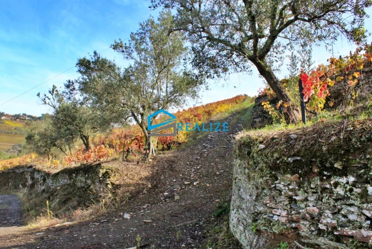 Quinta T0 para Venda em Abaças Foto 19