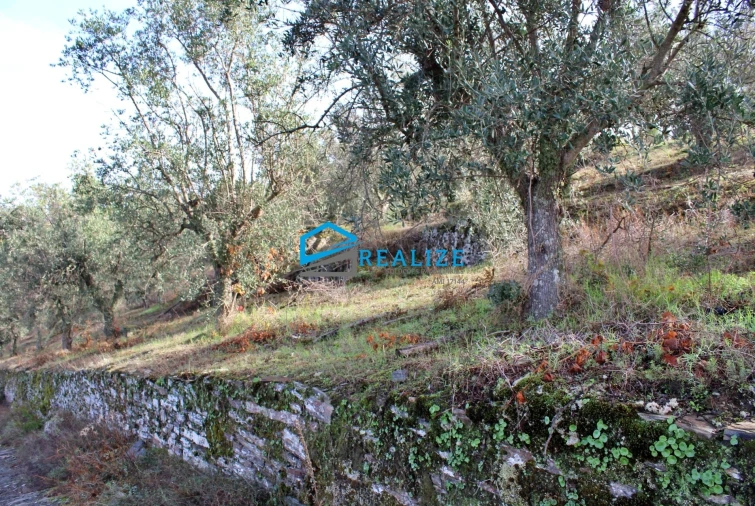 Quinta T0 para Venda em Abaças Foto 12