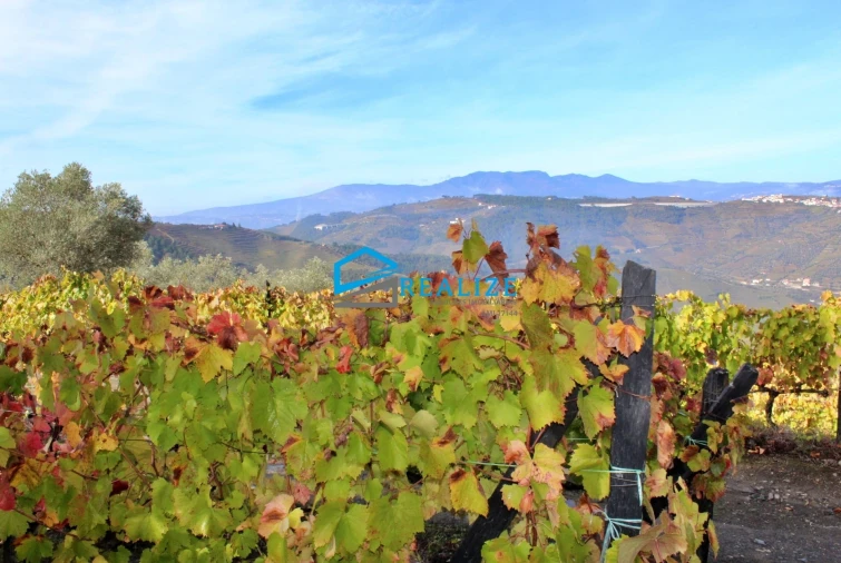 Quinta T0 para Venda em Abaças Foto 2