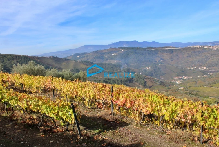 Quinta T0 para Venda em Abaças Foto 5