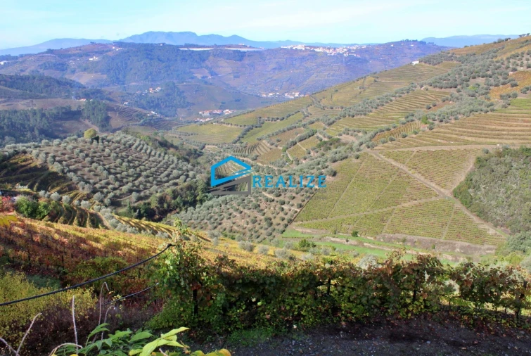 Quinta T0 para Venda em Abaças Foto 25