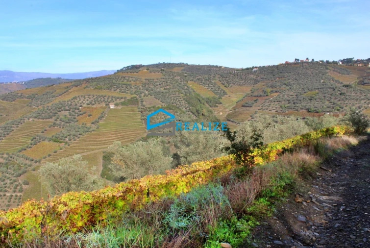 Quinta T0 para Venda em Abaças Foto 10