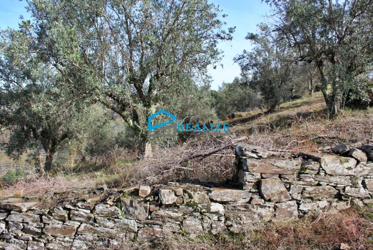 Quinta T0 para Venda em Abaças Foto 11