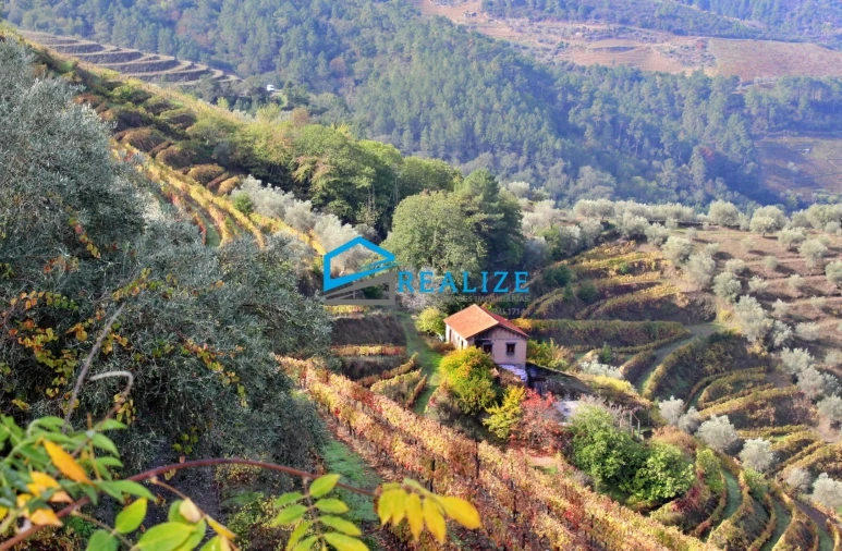 Quinta T0 para Venda em Abaças Foto 1