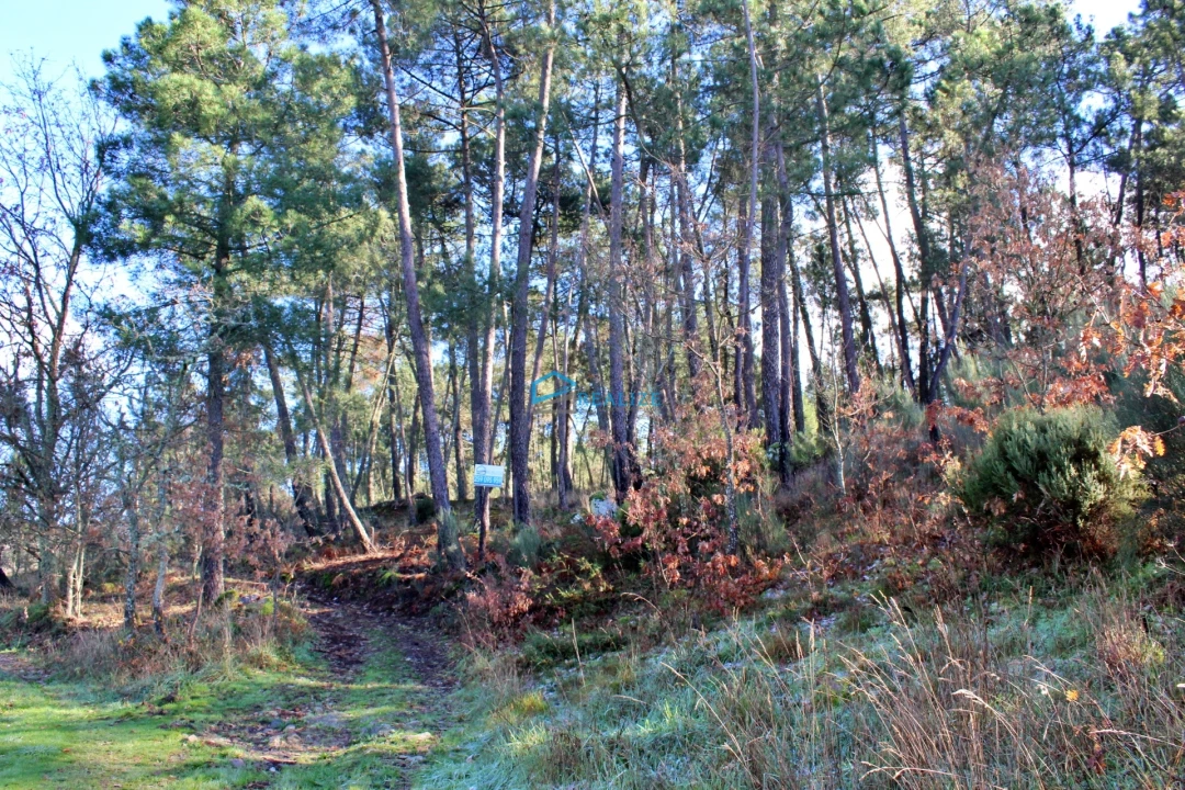 Terreno para Venda em Mouçós e Lamares Foto 5