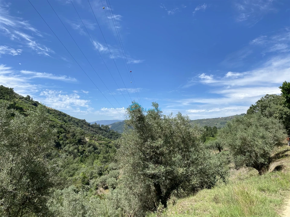 Terreno Agricola ou Rústico para Venda em Andrães Foto 69