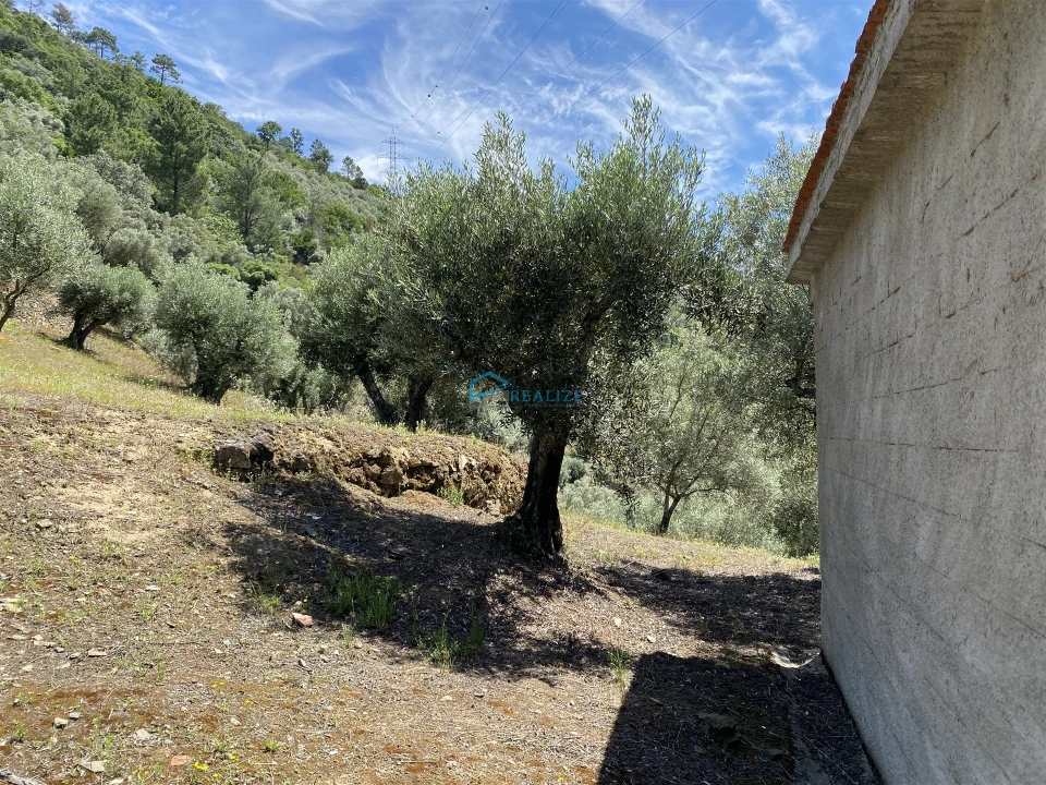 Terreno Agricola ou Rústico para Venda em Andrães Foto 55