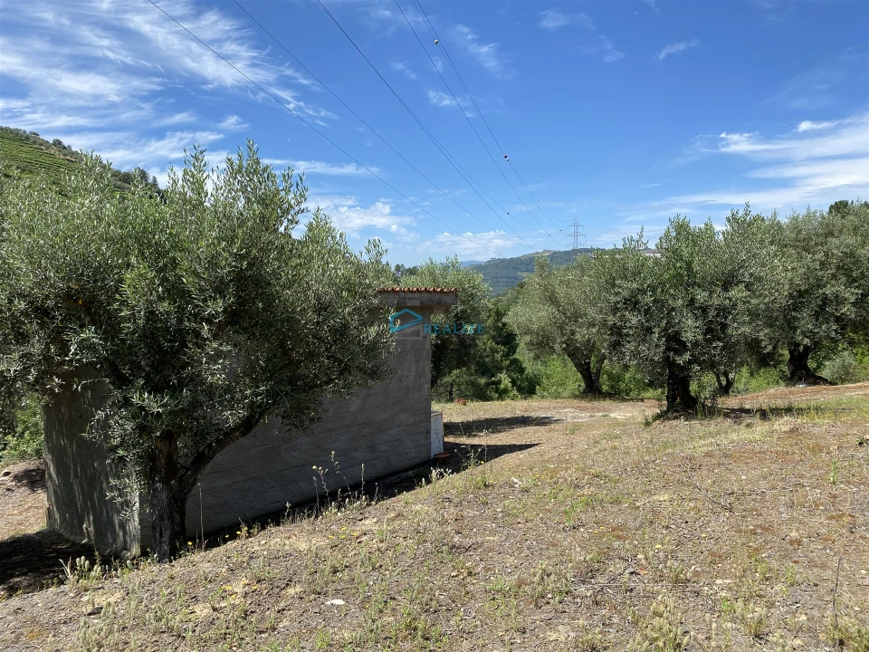 Terreno Agricola ou Rústico para Venda em Andrães Foto 51