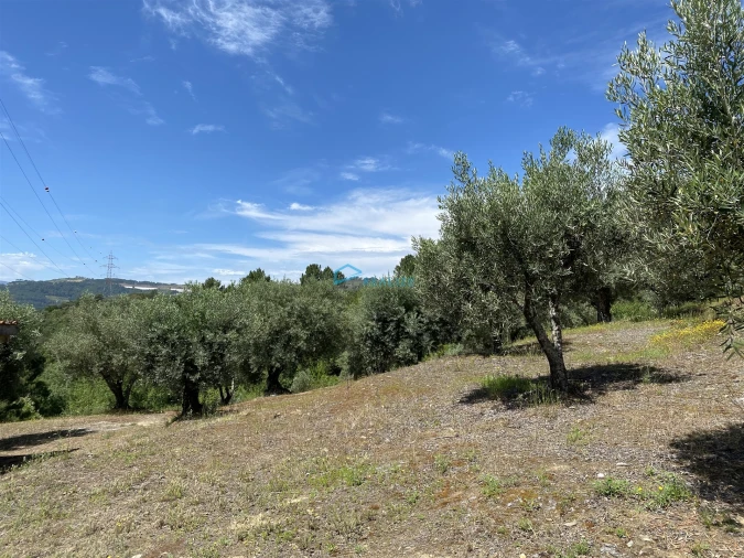 Terreno Agricola ou Rústico para Venda em Andrães Foto 50
