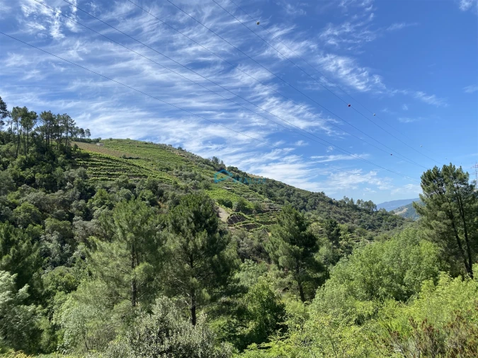 Terreno Agricola ou Rústico para Venda em Andrães Foto 34