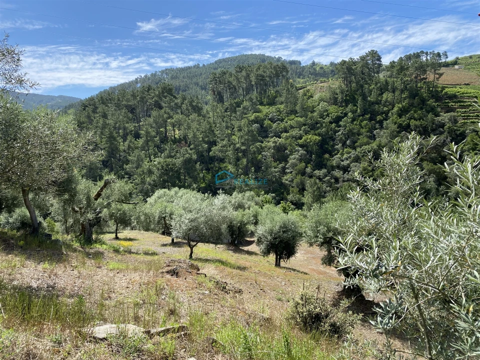 Terreno Agricola ou Rústico para Venda em Andrães Foto 2