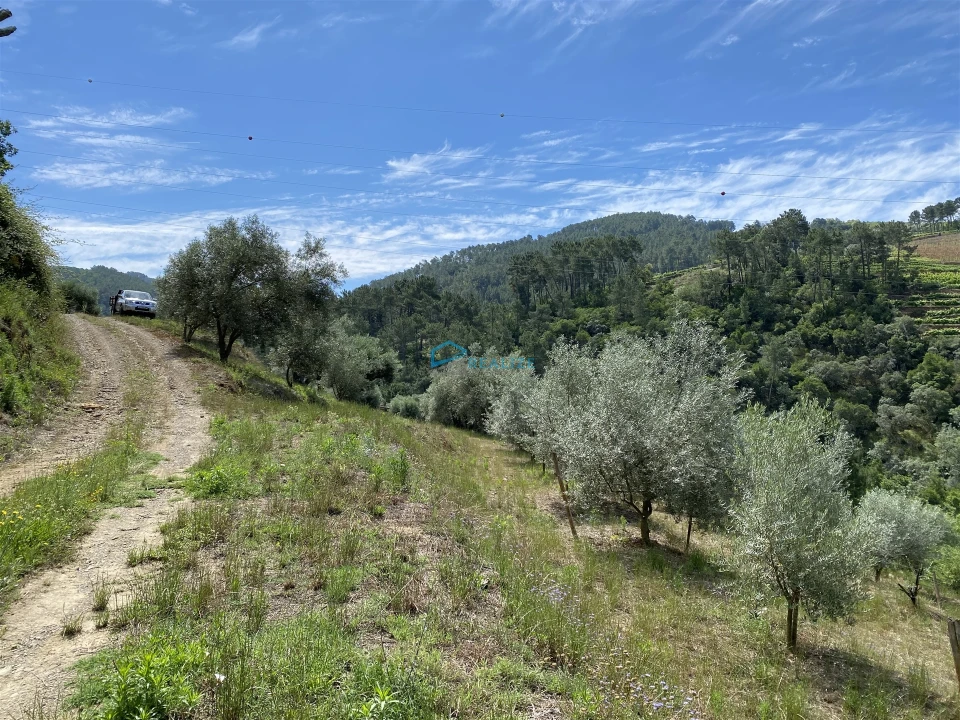 Terreno Agricola ou Rústico para Venda em Andrães Foto 8
