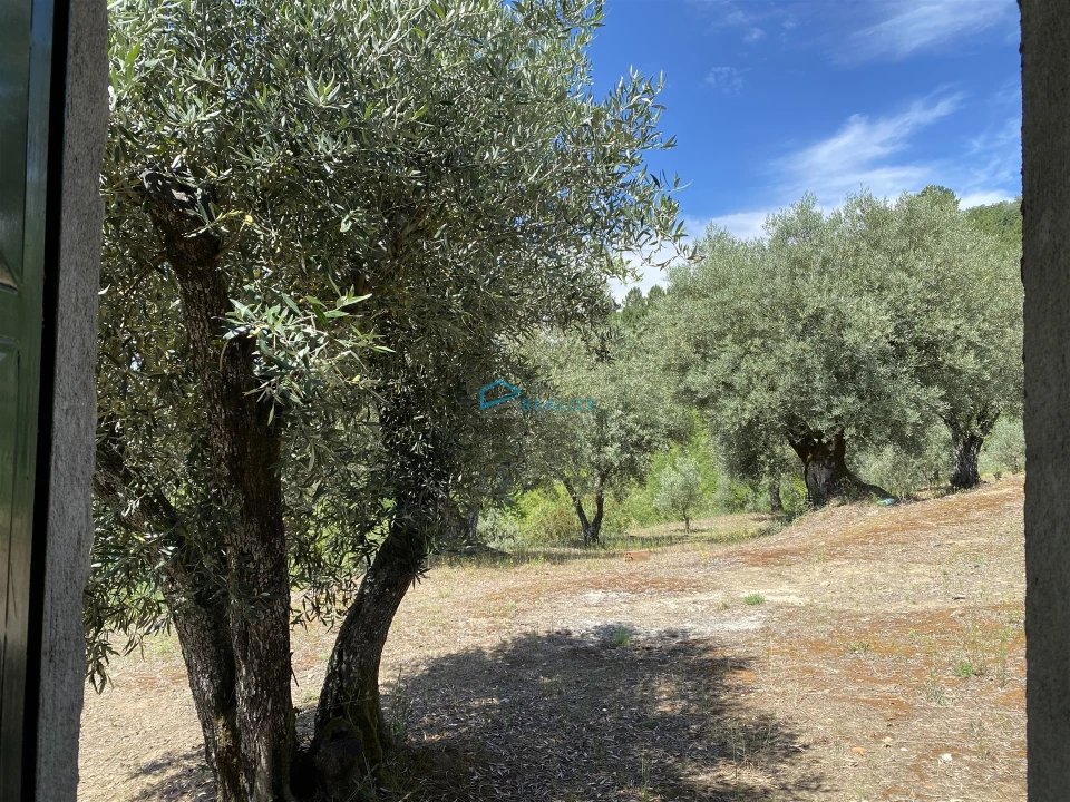 Terreno Agricola ou Rústico para Venda em Andrães Foto 54