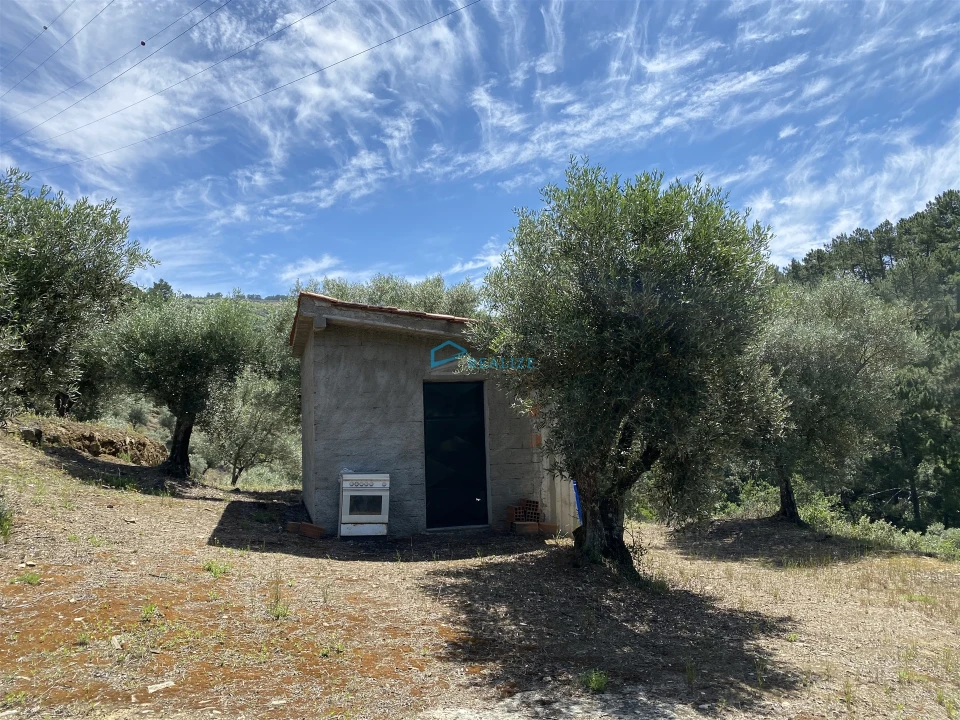 Terreno Agricola ou Rústico para Venda em Andrães Foto 35