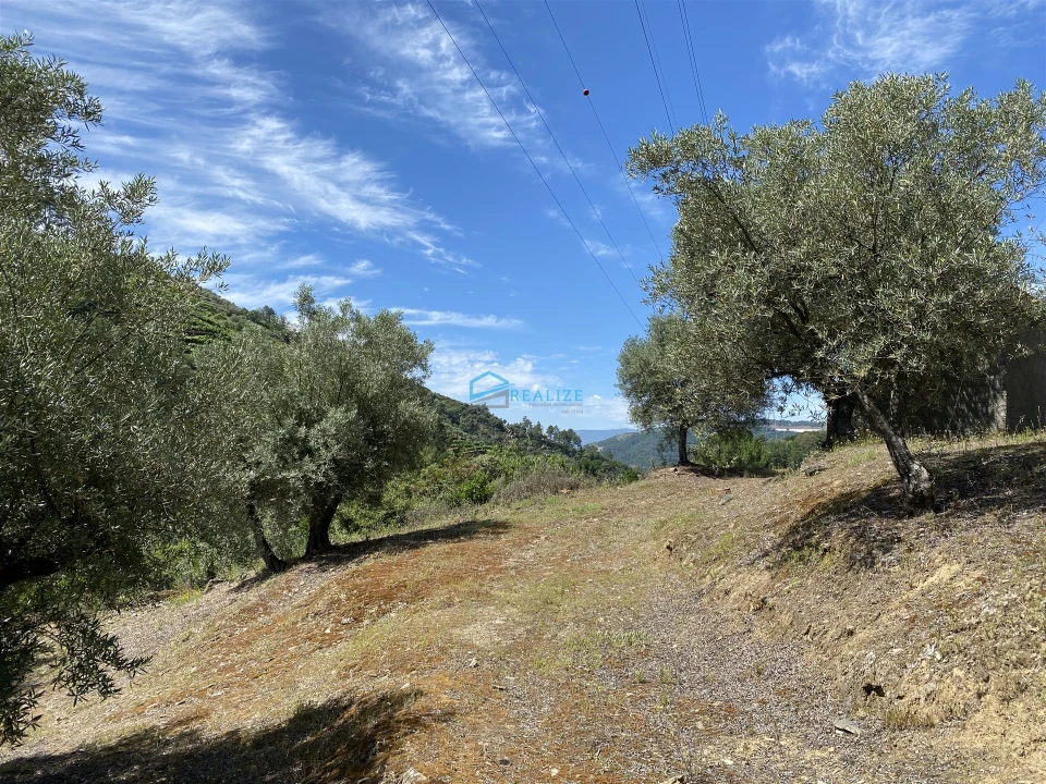Terreno Agricola ou Rústico para Venda em Andrães Foto 43