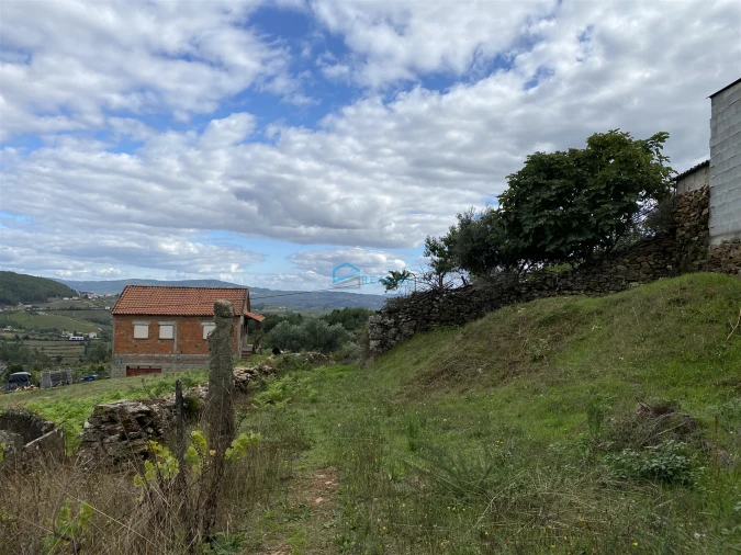 Terreno para Venda em Parada de Pinhão Foto 3