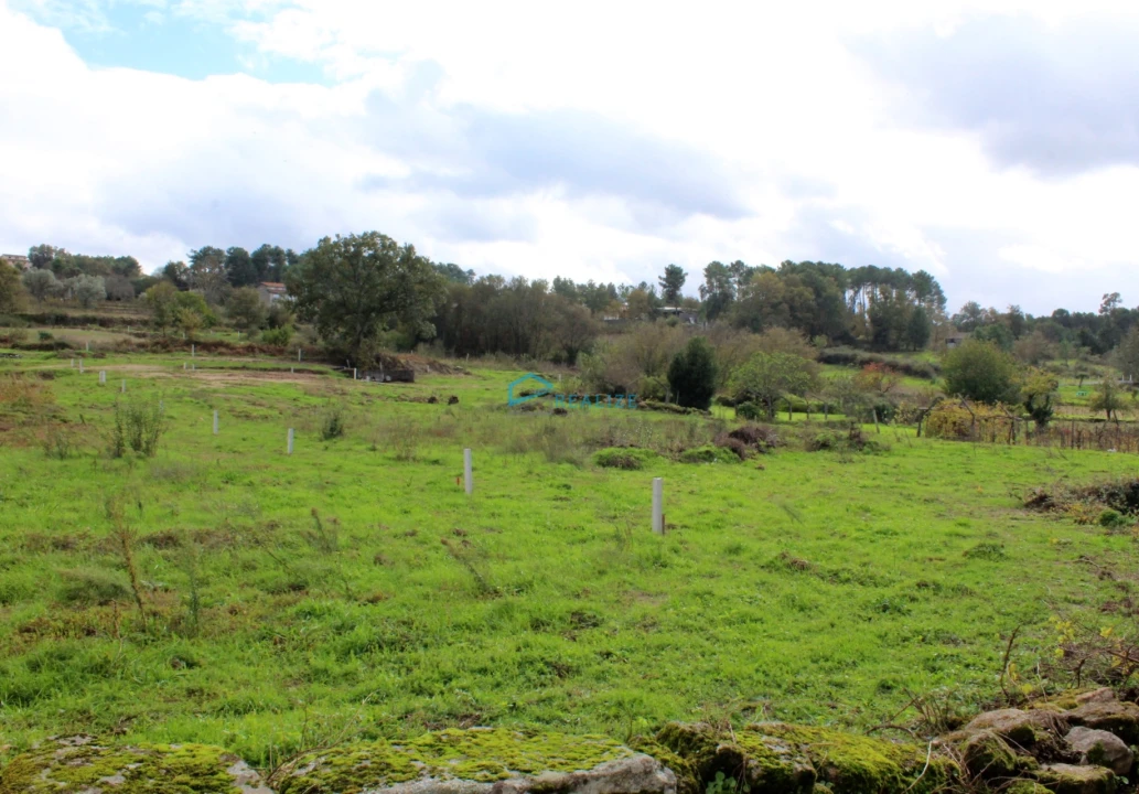 Terreno para Venda em Mouçós e Lamares Foto 3