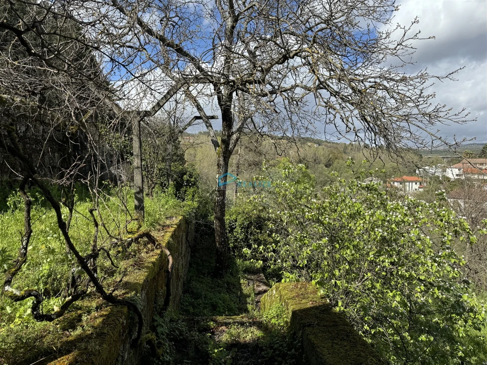 Moradia T4 para Venda em Nossa Senhora da Conceição, São Pedro e São Dinis Foto 45