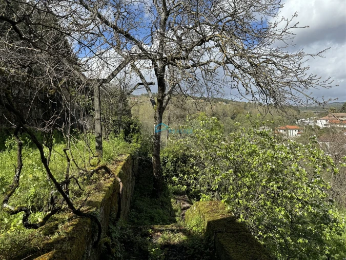 Moradia T4 para Venda em Nossa Senhora da Conceição, São Pedro e São Dinis Foto 45