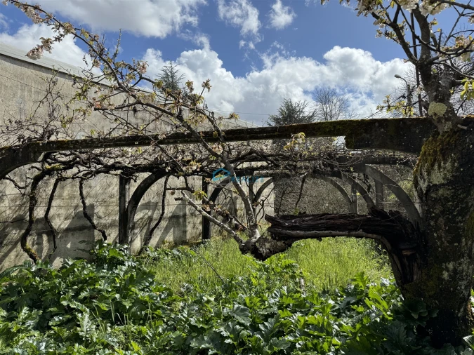 Moradia T4 para Venda em Nossa Senhora da Conceição, São Pedro e São Dinis Foto 6