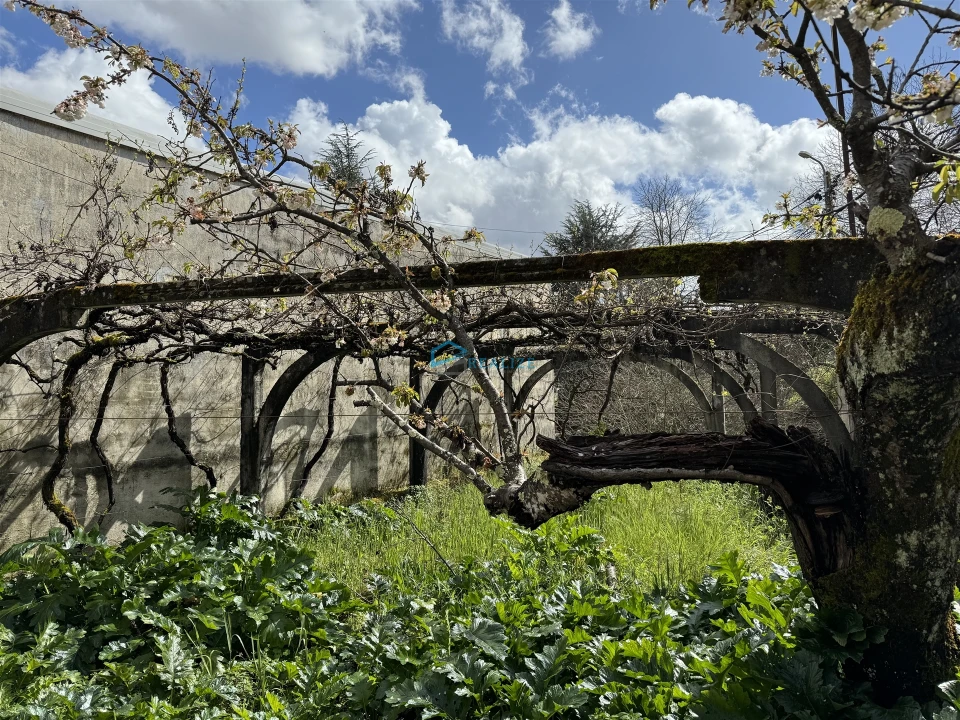 Moradia T4 para Venda em Nossa Senhora da Conceição, São Pedro e São Dinis Foto 6