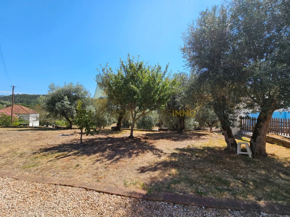 Quinta T3 para Venda em Alvaiázere Foto 73