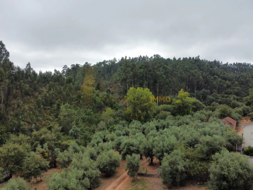 Quinta T3 para Venda em Alvaiázere Foto 75