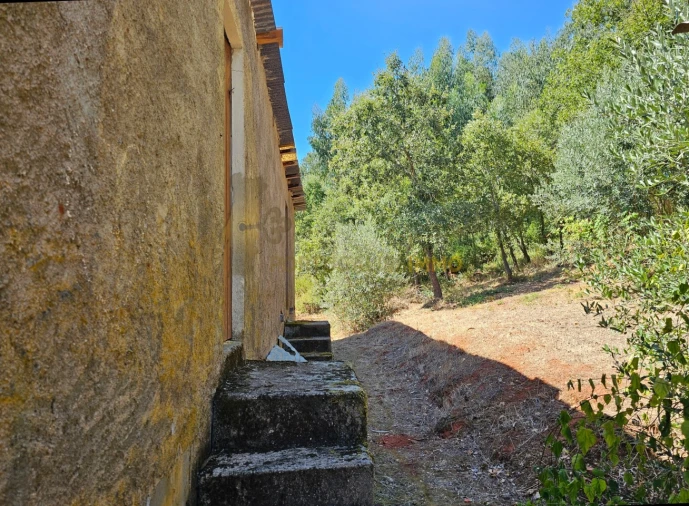 Quinta T3 para Venda em Alvaiázere Foto 67