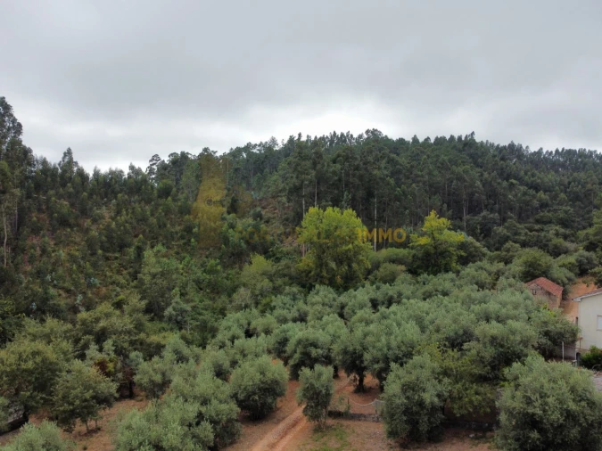 Quinta T3 para Venda em Alvaiázere Foto 75