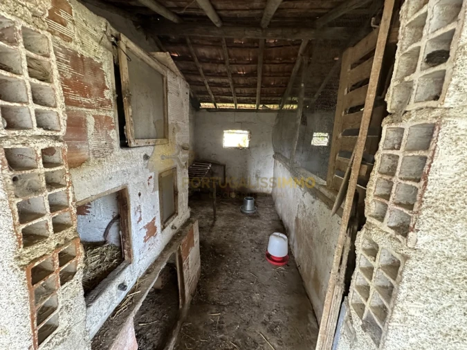 Moradia T2 para Venda em Carregueiros Foto 22